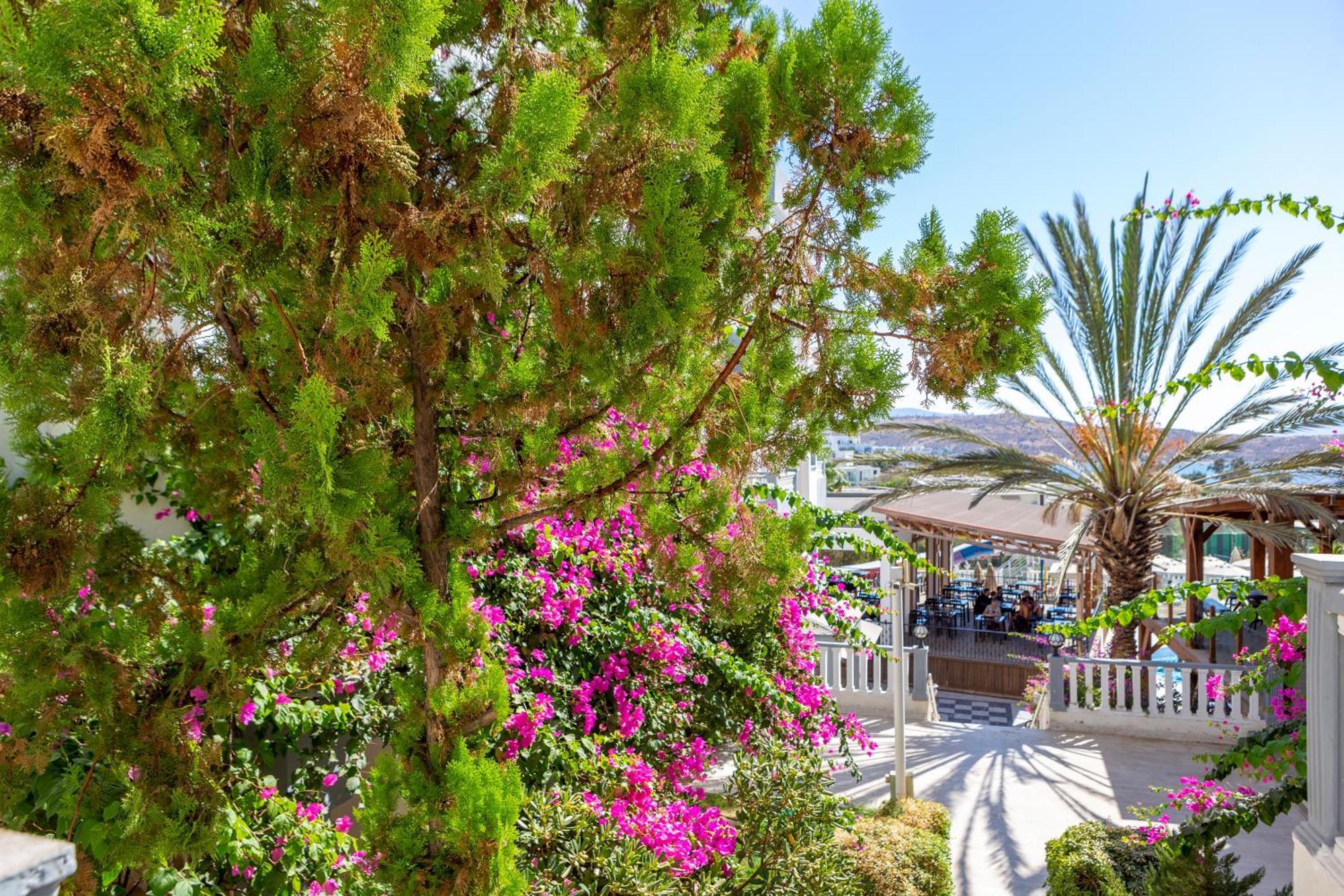 Smart Holiday Hotel Bodrum บิเตซ ภายนอก รูปภาพ